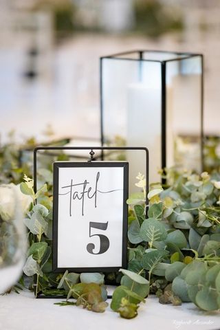 demone own table numbers