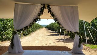 draping backdrop hire and flowers port elizabeth 006