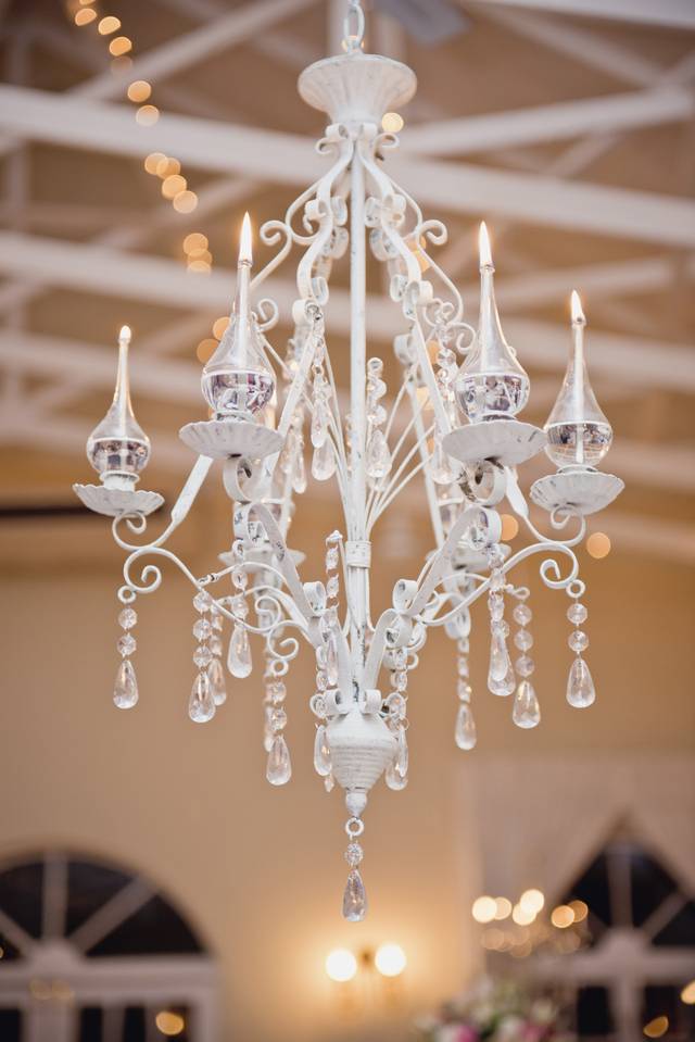 Decor HireMay 24, 2024 Decor HireMay 24, 2024