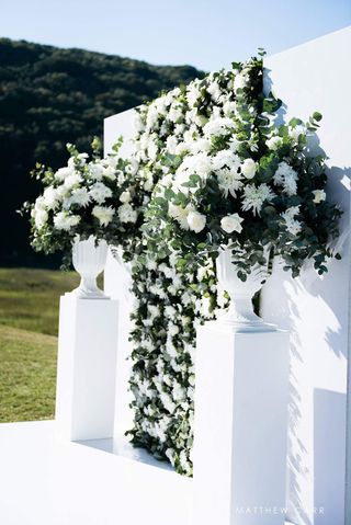 Flower WallsMay 24, 2024